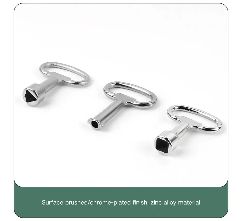 Stainless Steel Double Bit Key